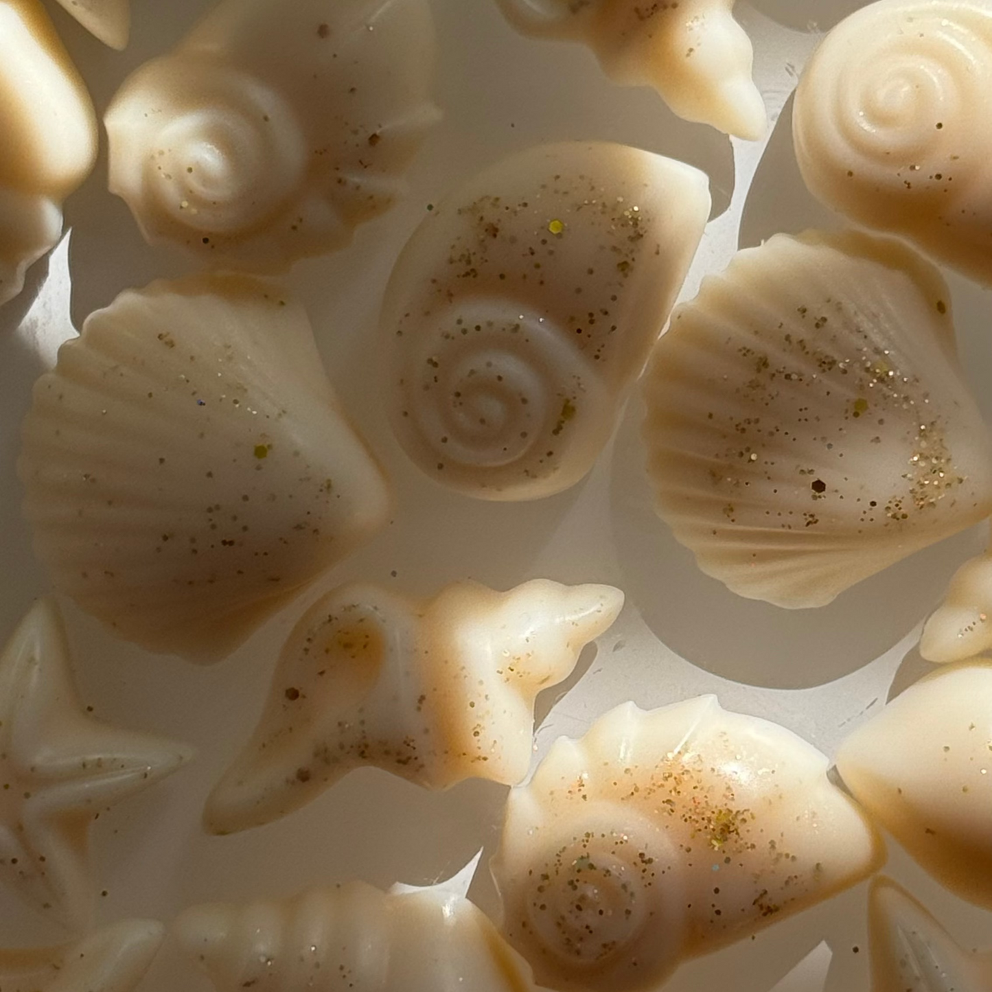 Seaside Daydream Seashell Wax Melts – Coastal Tropical Escape