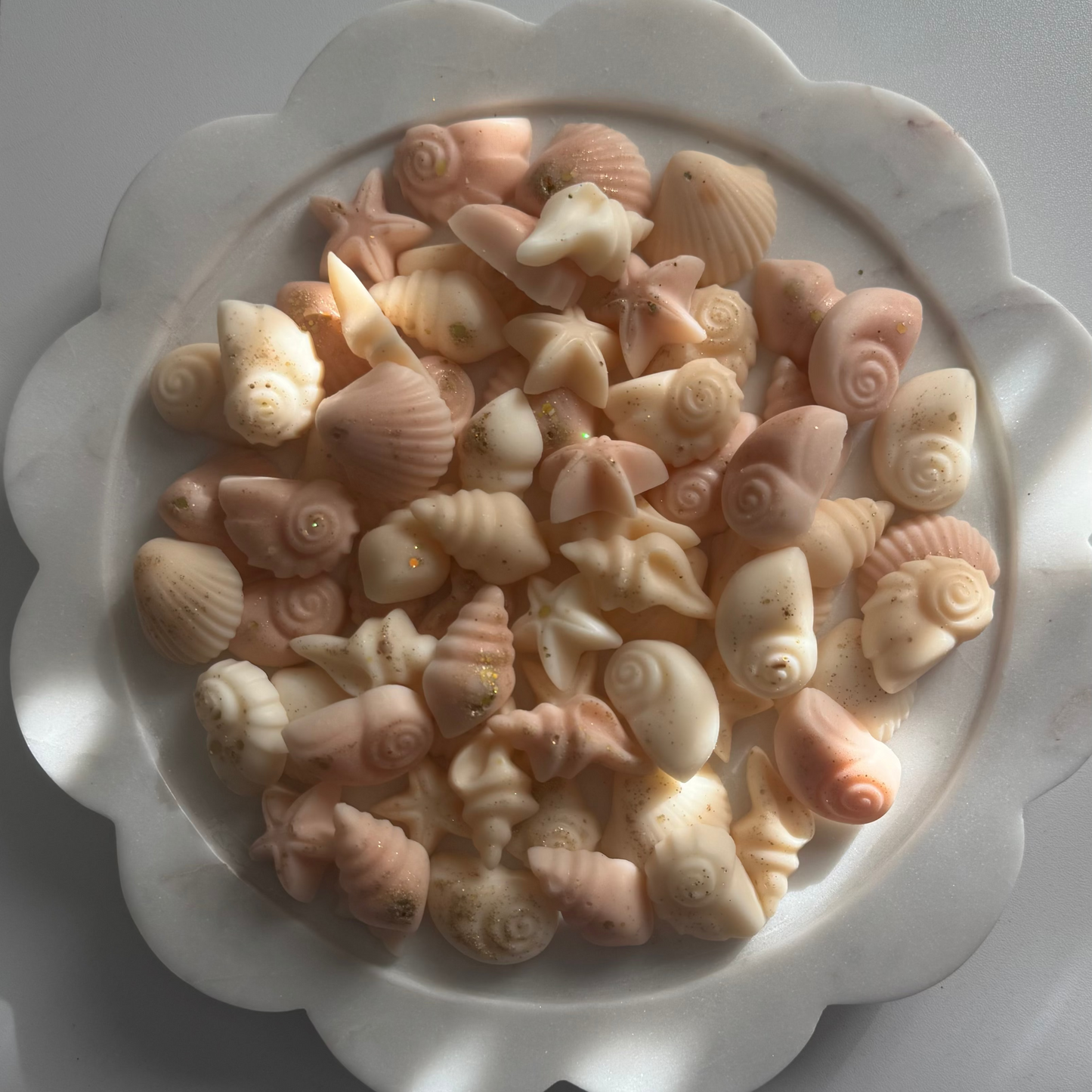 Seaside Daydream Seashell Wax Melts – Coastal Tropical Escape