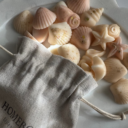 Seaside Daydream Seashell Wax Melts – Coastal Tropical Escape