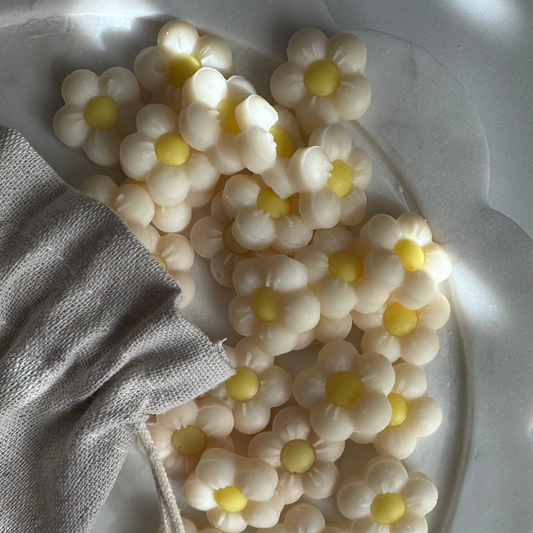Sunday Bloom Daisy Wax Melts – Fruity Floral Garden Escape